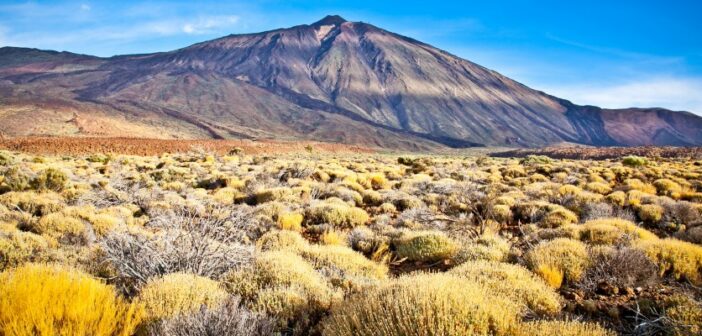 Urlaub auf Teneriffa: lieber Ferienwohnung oder Pauschalurlaub?