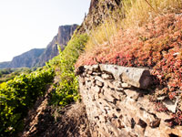 Die vielfältigen Weinlagen an der Nahe produzieren tolle Weine aus der Region.