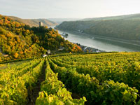 Bei Ihrer Weinreise an die Mosel werden auch Sie von den guten Wetterbedingungen profitieren.