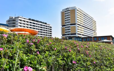 Die Errichtung neuer Hotels auf Sylt wird in Zukunft die Ausnahme sein. (Foto: AdobeStock - David 319044846)