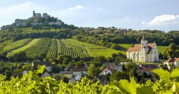 Entdecken Sie die einzigartigen Weine des Burgenlandes (Foto: AdobeStock - visualpower 140699367)