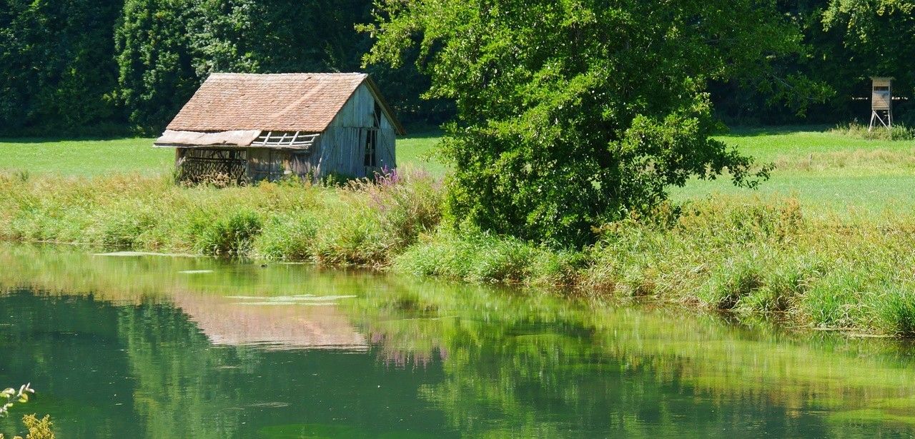 Renaturierung von Flüssen und Auen: Der beste Hochwasserschutz für (Foto: AdobeStock -  turtles2 523056310)