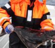 NAFFEN Norwegen-Angelforum.net UG: Ein Paradies für Angelenthusiasten (Foto: AdobeStock - Frank Waßerführer 302634381)