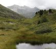 Goldene Wälder erleben und regionale Traditionen im herbstlichen (Foto: Ticino Turismo)